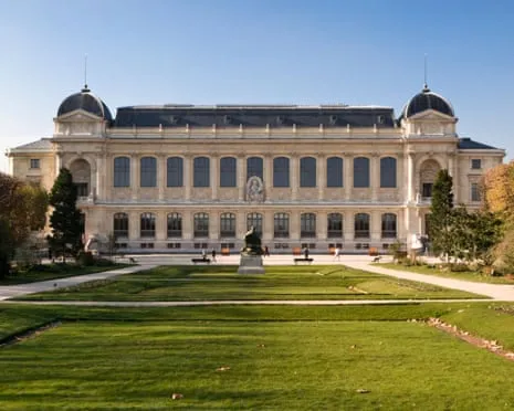 Invaluable Golden Specimens Taken in Daring Raid at France's Natural History Institution